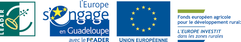 LOGO_FONDS_EUROPEEN_GUADELOUPE_FEADERLEADER (1) LEADER